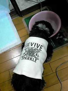 かん87.jpg
