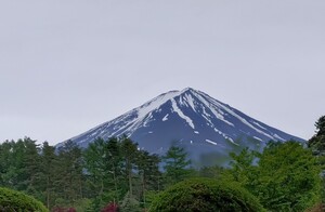 20250518_114231100.JPG